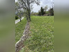 Ma-Cabane - Vente Terrain Coux, 1000 m²