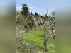 Ma-Cabane - Vente Terrain Coux, 1000 m²