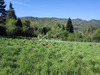 Ma-Cabane - Vente Terrain Cransac, 1474 m²