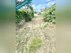 Ma-Cabane - Vente Terrain Cravant, 509 m²