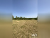 Ma-Cabane - Vente Terrain Cremps, 3000 m²