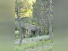 Ma-Cabane - Vente Terrain CRESTET, 60 m²