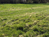 Ma-Cabane - Vente Terrain CROISY SUR ANDELLE, 2311 m²