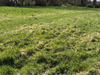 Ma-Cabane - Vente Terrain CROISY SUR ANDELLE, 2311 m²