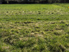 Ma-Cabane - Vente Terrain CROISY SUR ANDELLE, 2311 m²