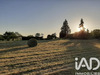Ma-Cabane - Vente Terrain Crotelles, 1349 m²
