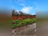 Ma-Cabane - Vente Terrain CROZON, 1110 m²