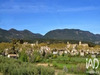 Ma-Cabane - Vente Terrain Cucuron, 1150 m²