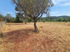 Ma-Cabane - Vente Terrain CUERS, 3625 m²