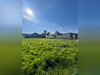 Ma-Cabane - Vente Terrain DAMGAN, 409 m²