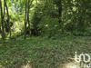 Ma-Cabane - Vente Terrain Dammartin-en-Goële, 806 m²