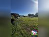Ma-Cabane - Vente Terrain Dammartin-en-Serve, 820 m²