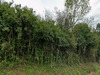Ma-Cabane - Vente Terrain Damouzy, 1988 m²