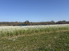 Ma-Cabane - Vente Terrain Dax, 772 m²