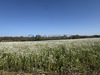 Ma-Cabane - Vente Terrain Dax, 772 m²