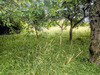 Ma-Cabane - Vente Terrain DOLE, 1 m²