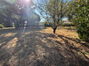 Ma-Cabane - Vente Terrain DOLUS-D'OLERON, 1000 m²