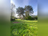 Ma-Cabane - Vente Terrain DONNERY, 3000 m²