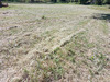 Ma-Cabane - Vente Terrain DONZERE, 1834 m²