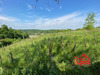 Ma-Cabane - Vente Terrain Doulevant-le-Château, 8140 m²