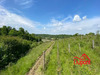 Ma-Cabane - Vente Terrain Doulevant-le-Château, 8140 m²