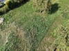 Ma-Cabane - Vente Terrain Draillant, 573 m²