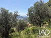 Ma-Cabane - Vente Terrain Drap, 2492 m²