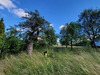 Ma-Cabane - Vente Terrain Drulingen, 3194 m²