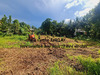 Ma-Cabane - Vente Terrain DUCOS, 2799 m²