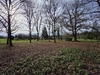 Ma-Cabane - Vente Terrain DUN LE POELIER, 1127 m²