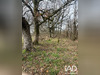 Ma-Cabane - Vente Terrain Dunet, 7042 m²