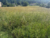 Ma-Cabane - Vente Terrain DURAVEL, 3457 m²