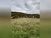 Ma-Cabane - Vente Terrain DURAVEL, 3457 m²