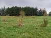 Ma-Cabane - Vente Terrain DURTAL, 5206 m²