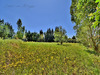 Ma-Cabane - Vente Terrain EGUILLES, 1423 m²