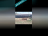 Ma-Cabane - Vente Terrain Embry, 4784 m²
