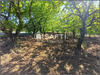 Ma-Cabane - Vente Terrain Entrechaux, 1335 m²