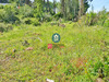 Ma-Cabane - Vente Terrain EQUIHEN PLAGE, 830 m²