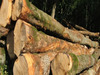 Ma-Cabane - Vente Terrain ERGUE-GABERIC, 35720 m²