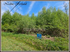 Ma-Cabane - Vente Terrain ERVAUVILLE, 3921 m²