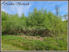 Ma-Cabane - Vente Terrain ERVAUVILLE, 3921 m²