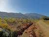 Ma-Cabane - Vente Terrain ESPIRA DE CONFLENT, 597 m²