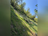Ma-Cabane - Vente Terrain Etinehem, 5111 m²