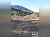 Ma-Cabane - Vente Terrain Eygaliers, 578 m²