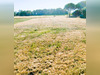 Ma-Cabane - Vente Terrain EYRANS, 1257 m²