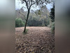 Ma-Cabane - Vente Terrain EYSINES, 1715 m²