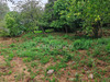 Ma-Cabane - Vente Terrain FALICON, 3160 m²