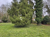 Ma-Cabane - Vente Terrain Faremoutiers, 661 m²