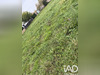 Ma-Cabane - Vente Terrain Faverges-de-la-Tour, 568 m²