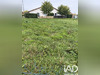 Ma-Cabane - Vente Terrain Faverges-de-la-Tour, 568 m²